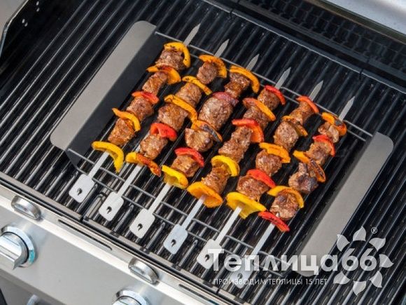 Набор шампуров Char Broil с подставкой для шашлыка