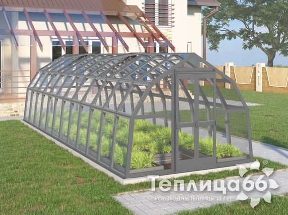 Теплица Рада Нева под стекло, 2,65х8 метров, Графитовая