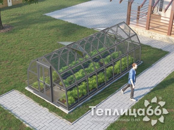Теплица Рада Нева под стекло, 2,65х6 метров, графитовая
