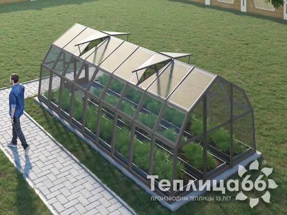 Теплица Рада Нева под стекло, 2,65х6 метров, графитовая