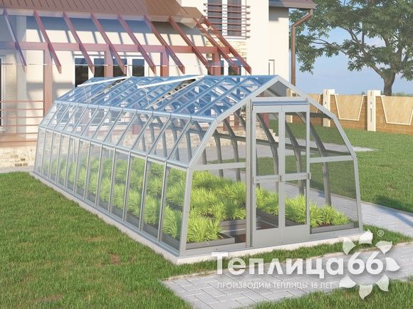 Теплица Рада Нева под стекло, 2,65х8 метров