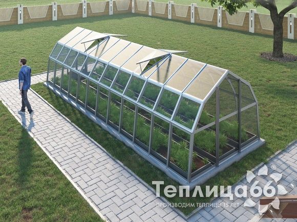 Теплица Рада Нева под стекло, 2,65х8 метров
