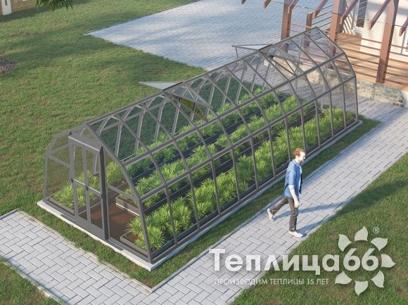 Теплица Рада Волга под стекло, 3х8 метров, графитовая
