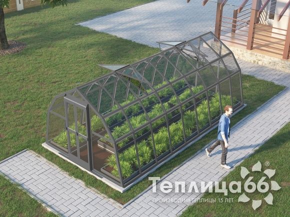 Теплица Рада Волга под стекло, 3х6 метров, графитовая