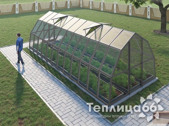Теплица Рада Исеть под стекло 3х8 метров, графитовая