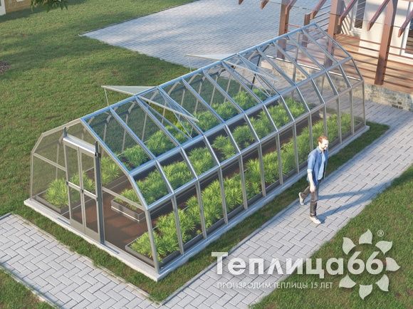 Теплица Рада Дунай под стекло, 3,5х8 метров
