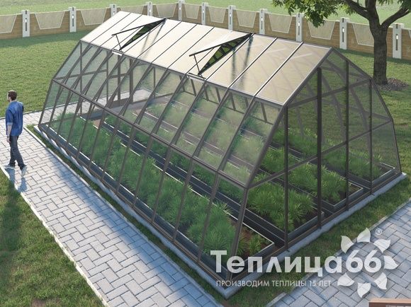 Теплица Рада Амазонка под стекло, 5х8 метров, графитовая