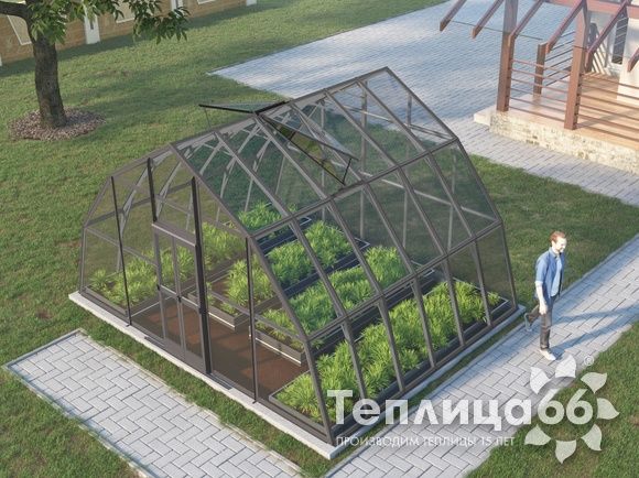Теплица Рада Амазонка под стекло, 5х4 метра, графитовая