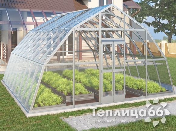 Теплица Рада Амазонка под стекло, 5х6 метров