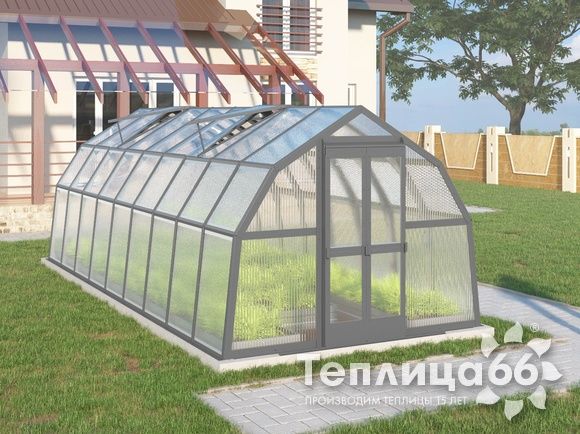 Теплица Рада Ладога из поликарбоната, 2.65х6 метров, графитовая