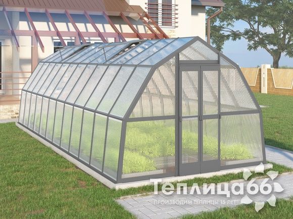 Теплица Рада Рица из поликарбоната, 3x8 метров, графитовая