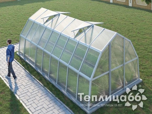 Теплица Рада Рица из поликарбоната, 3x6 метров, белая