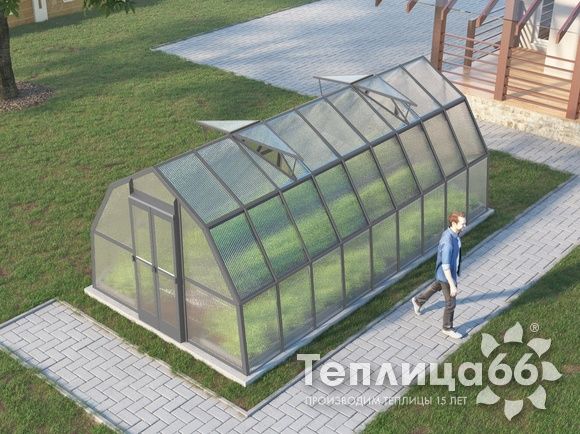 Теплица Рада Рица из поликарбоната, 3x6 метров, графитовая