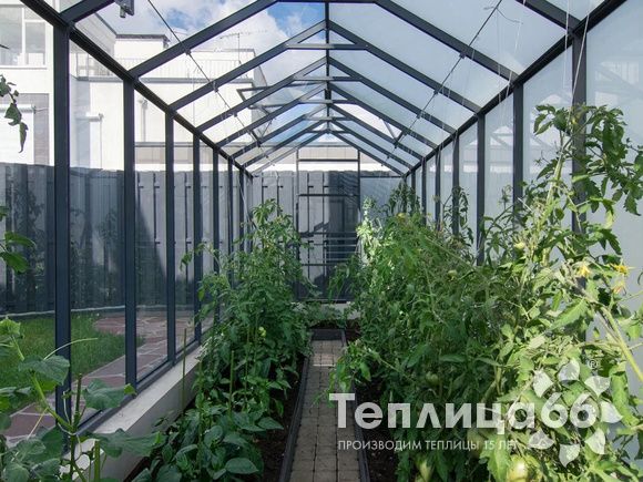 Теплица botanik mini, ширина 2,1 метра под стекло