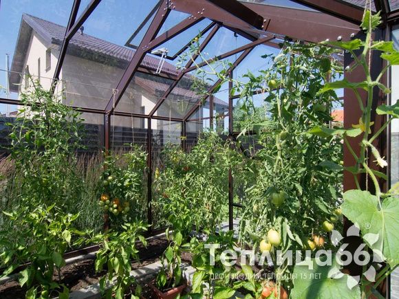 Теплица botanik T с мини-тамбуром под стекло (14 м²)