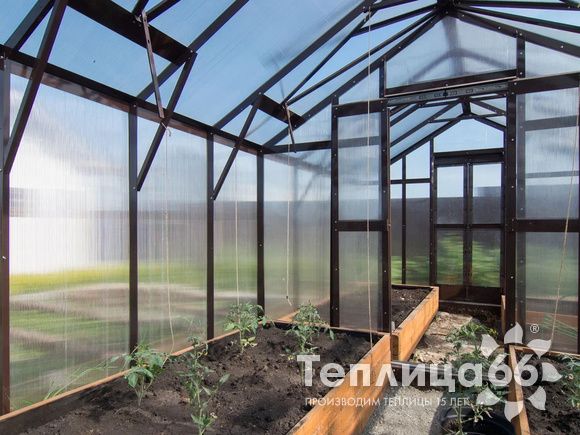 Теплица Рада Гарденикс 3 П под сотовый поликарбонат, ширина 3 м